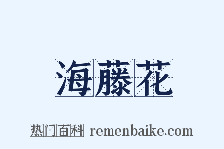 海藤花是什么意思的图片